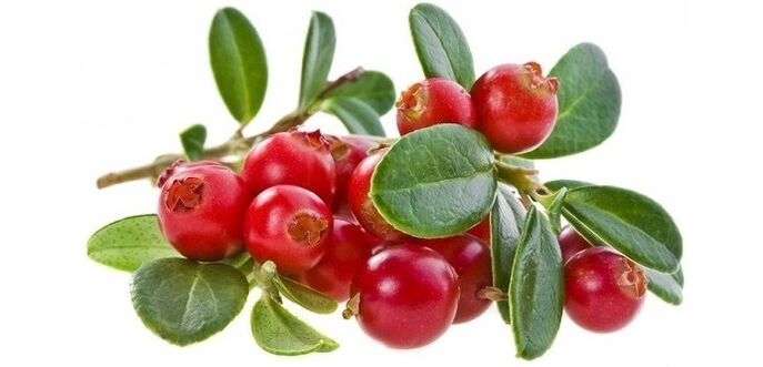 zistitisaren tratamendu azkarra cranberry kapsula naturalekin Cyto Forte